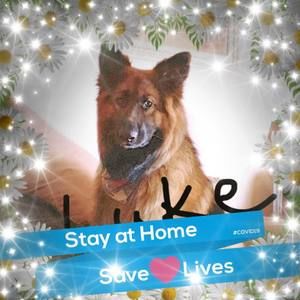 Meet your Posher, Robin